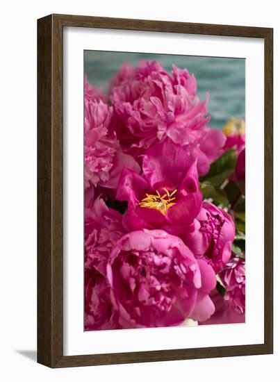 Fuchsia Peonies II-Karyn Millet-Framed Photo