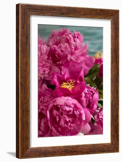 Fuchsia Peonies II-Karyn Millet-Framed Photo