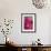 Fuchsia Peonies II-Karyn Millet-Framed Photo displayed on a wall