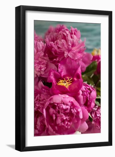 Fuchsia Peonies II-Karyn Millet-Framed Photo