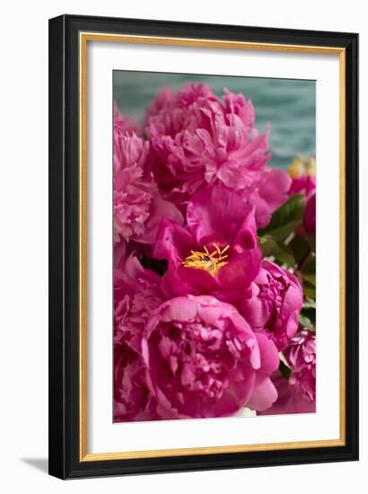 Fuchsia Peonies II-Karyn Millet-Framed Photo