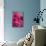 Fuchsia Peonies II-Karyn Millet-Mounted Photo displayed on a wall