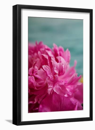 Fuchsia Peonies III-Karyn Millet-Framed Photo