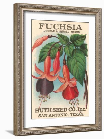 Fuchsia Seed Packet-null-Framed Art Print