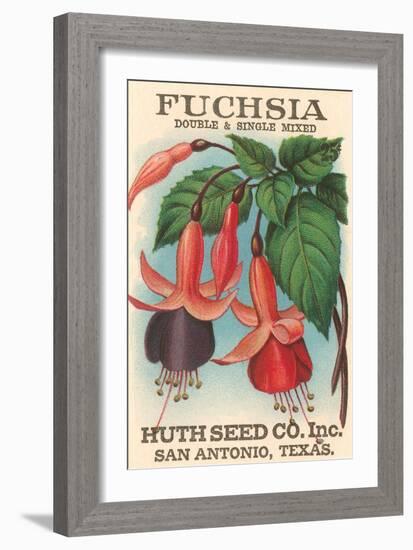 Fuchsia Seed Packet-null-Framed Art Print