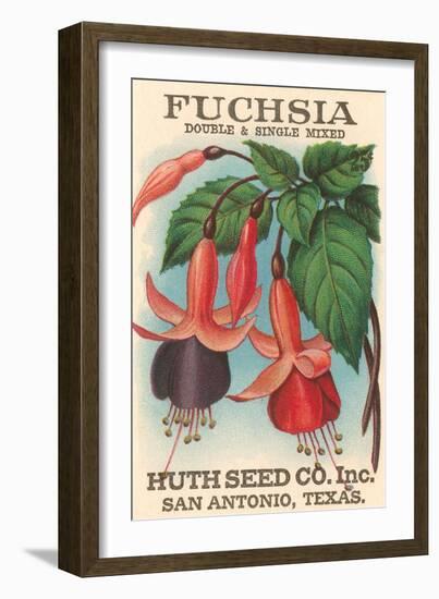 Fuchsia Seed Packet-null-Framed Art Print