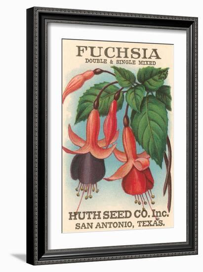 Fuchsia Seed Packet-null-Framed Art Print