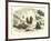 Fuegians in Winter-null-Framed Giclee Print