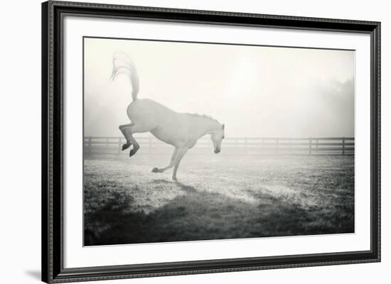 Fuego Blanco-Shana Rae-Framed Giclee Print