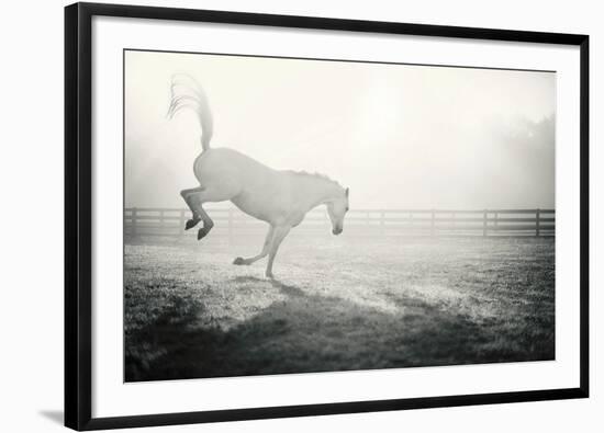 Fuego Blanco-Shana Rae-Framed Giclee Print