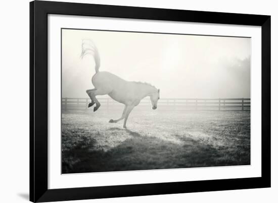 Fuego Blanco-Shana Rae-Framed Giclee Print