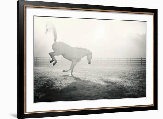 Fuego Blanco-Shana Rae-Framed Giclee Print