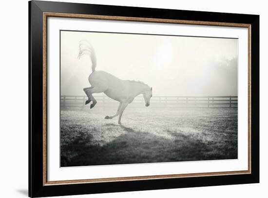 Fuego Blanco-Shana Rae-Framed Giclee Print