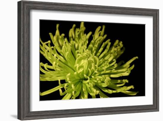 Fuji Mum I-Renee W. Stramel-Framed Art Print