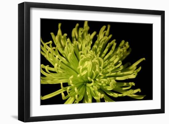 Fuji Mum I-Renee W. Stramel-Framed Art Print