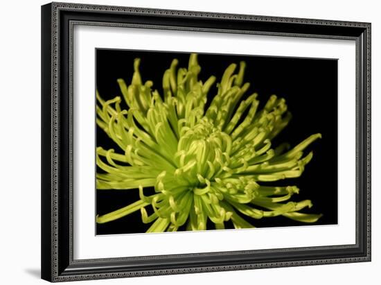 Fuji Mum I-Renee W. Stramel-Framed Art Print