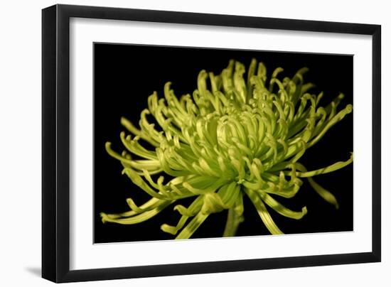 Fuji Mum II-Renee W. Stramel-Framed Art Print