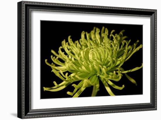 Fuji Mum II-Renee W. Stramel-Framed Art Print