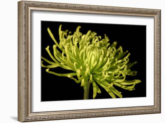 Fuji Mum III-Renee W^ Stramel-Framed Photographic Print