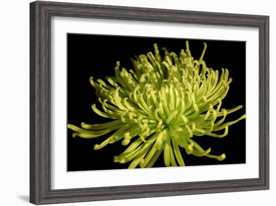 Fuji Mum IV-Renee W. Stramel-Framed Art Print