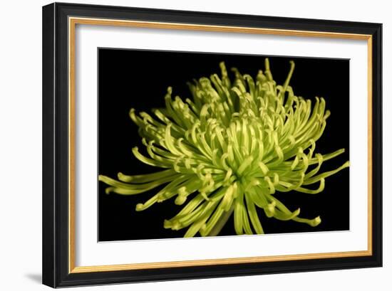 Fuji Mum IV-Renee W. Stramel-Framed Art Print