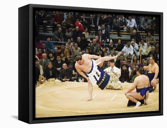 Fukuoka Sumo Competition, Entering the Ring Ceremony, Kyushu Basho, Fukuoka City, Kyushu, Japan-Christian Kober-Framed Premier Image Canvas