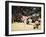 Fukuoka Sumo Competition, Entering the Ring Ceremony, Kyushu Basho, Fukuoka City, Kyushu, Japan-Christian Kober-Framed Photographic Print