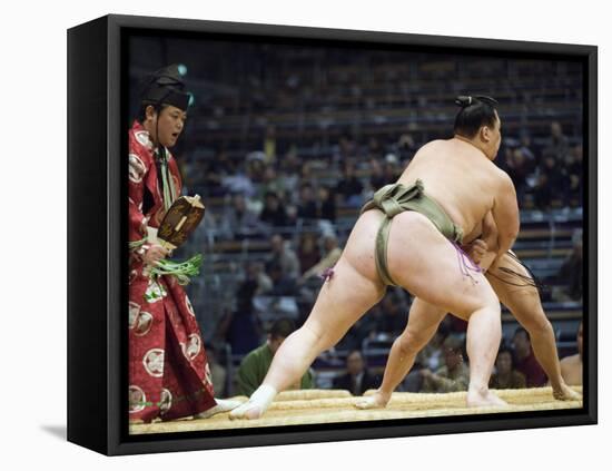 Fukuoka Sumo Competition, Kyushu Basho, Fukuoka City, Kyushu, Japan, Asia-Christian Kober-Framed Premier Image Canvas