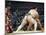 Fukuoka Sumo Competition, Kyushu Basho, Fukuoka City, Kyushu, Japan, Asia-Christian Kober-Mounted Photographic Print