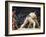 Fukuoka Sumo Competition, Kyushu Basho, Fukuoka City, Kyushu, Japan, Asia-Christian Kober-Framed Photographic Print