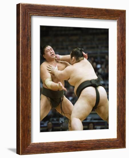 Fukuoka Sumo Competition, Kyushu Basho, Fukuoka City, Kyushu, Japan, Asia-Christian Kober-Framed Photographic Print