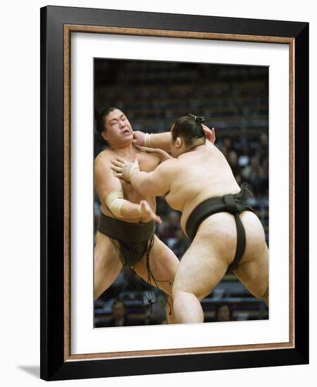 Fukuoka Sumo Competition, Kyushu Basho, Fukuoka City, Kyushu, Japan, Asia-Christian Kober-Framed Photographic Print