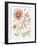 Full Bloom II-Anne Tavoletti-Framed Art Print