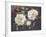 Full Blossom I-Bowmy-Framed Premium Giclee Print
