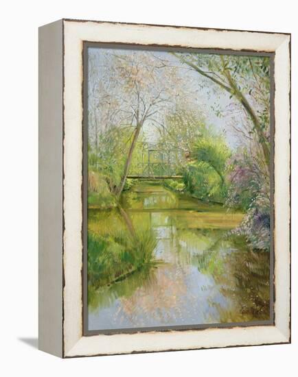 Full Blossom-Timothy Easton-Framed Premier Image Canvas