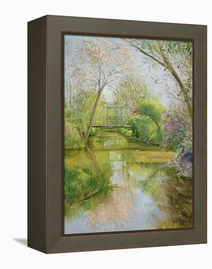 Full Blossom-Timothy Easton-Framed Premier Image Canvas