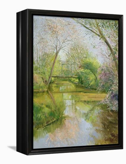 Full Blossom-Timothy Easton-Framed Premier Image Canvas