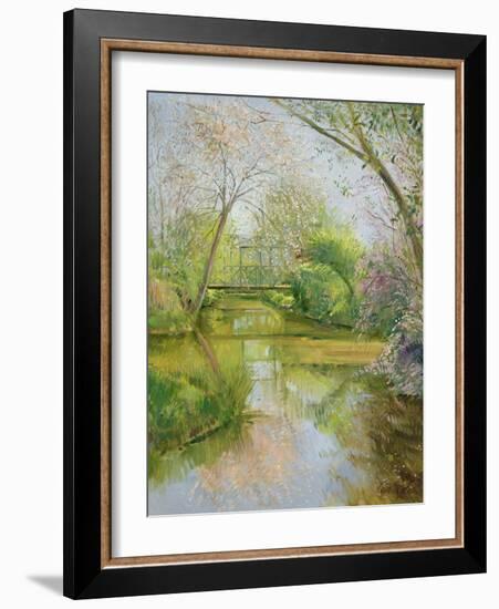 Full Blossom-Timothy Easton-Framed Giclee Print