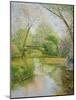 Full Blossom-Timothy Easton-Mounted Giclee Print