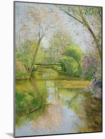 Full Blossom-Timothy Easton-Mounted Giclee Print