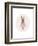 Full Body Ballet Bunny with circle-Leah Straatsma-Framed Art Print