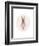 Full Body Ballet Bunny with circle-Leah Straatsma-Framed Art Print