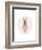 Full Body Ballet Bunny with circle-Leah Straatsma-Framed Premium Giclee Print