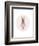 Full Body Ballet Bunny with circle-Leah Straatsma-Framed Premium Giclee Print
