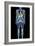 Full Body Scan, MRI Scan-Volker Steger-Framed Photographic Print