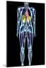 Full Body Scan, MRI Scan-Volker Steger-Mounted Photographic Print
