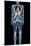 Full Body Scan, MRI Scan-Volker Steger-Mounted Photographic Print