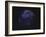 Full Earth at Night Showing Africa, Europe 2001-08-07-Stocktrek Images-Framed Photographic Print