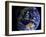 Full Earth from Space Showing Australia-Stocktrek Images-Framed Photographic Print