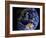 Full Earth from Space Showing Australia-Stocktrek Images-Framed Photographic Print